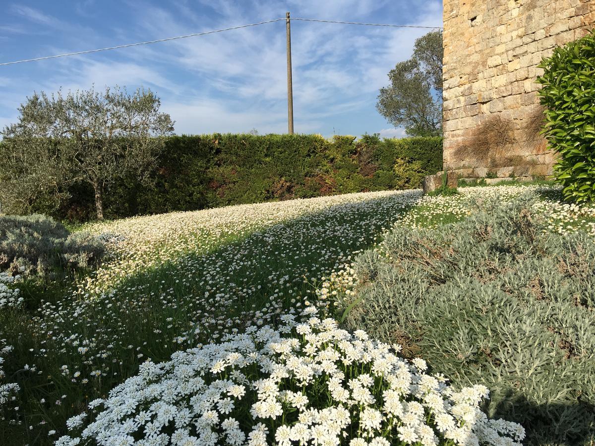 Torre Di Ponzano Vendégház Barberino di Val dʼElsa Kültér fotó